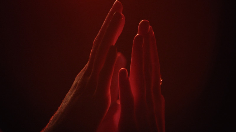 nebougepas_still_palo-1_1.2.1_1.2.1